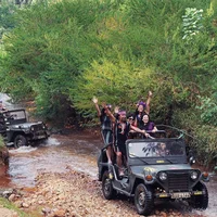 Ảnh trong bài
