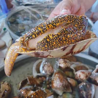 món-ăn-đảo-Phú-Quý-ivivu7