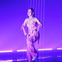 Diệp Lâm Anh