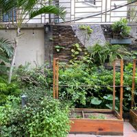 Ẩm thực bền vững đang “thay da đổi thịt” ngành F&B trên toàn thế giới