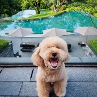 Capella Singapore - khu nghỉ dưỡng “hoàn hảo” trên đảo Sentosa