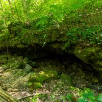 Một hang động mở trong rừng tại Công viên bang Meramec ở Missouri