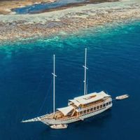 Phiêu lưu cùng du thuyền Fenides Liveaboard khám phá những hòn đảo tuyệt đẹp ở Indonesia
