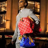 LV Speedy Bag