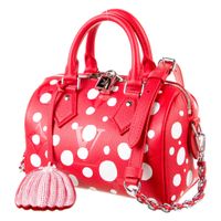 LV Speedy Bag