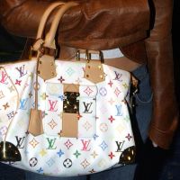 LV Speedy Bag
