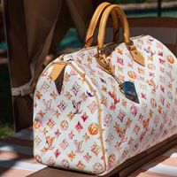 LV Speedy Bag