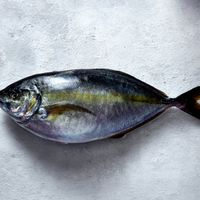 Nhà hàng AKUNA - Dòng chảy đại dương giữa lòng Sài Gòn