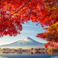 Colorful Autumn Season and Mountain Fuji with morning fog and red leaves at lake Kawaguchiko is one of the best places in Japan
