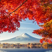 Colorful Autumn Season and Mountain Fuji with morning fog and red leaves at lake Kawaguchiko is one of the best places in Japan