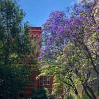 Australia-ivivu-2
