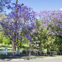 Australia-ivivu-5