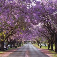Australia-ivivu-7