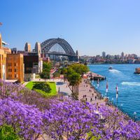 7 điểm ngắm hoa phượng tím ở Australia