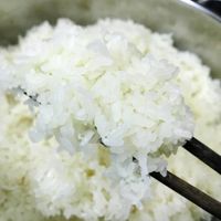 nhộng-ong-đất-dầm-iVIVU4