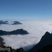 Du khách tấp nập 