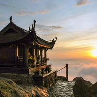 Ảnh trong bài