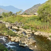 Ảnh trong bài