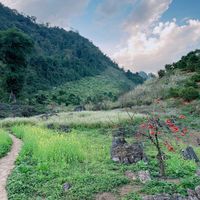 Ảnh trong bài