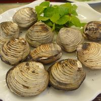con-ngan-quang-ninh-ivivu-4