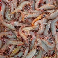 hải-sản-cô-tô-ivivu