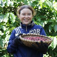 nescafe-plan-contributes-to-enhancing-the-role-of-women-in-coffee-farming20231101085721.jpg?rt=20231116090932