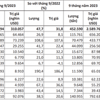 10-thi-truong-xuat-khau-hat-dieu-lon-nhat-cua-viet-nam20231028084356.png?rt=20231028084357