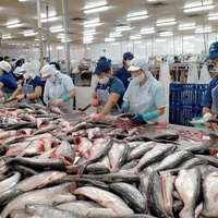 doanh-nghiep-thuy-san-da-khai-thac-duoc-thi-truong-evfta-20231006115906.jpg?rt=20231101163737