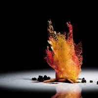 Ẩm thực phân tử trông thật mong manh và đắt đỏ. Ảnh: Francesc Guillamet cho món ăn của Ferran Adrià