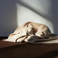  Studio Nicholson và Zara