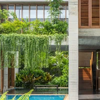 Biệt thự như khối hộp rỗng giữa đồi cây