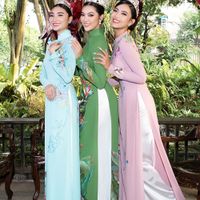 Ảnh trong bài