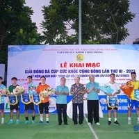 Ảnh trong bài