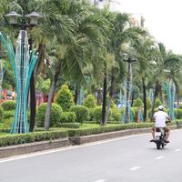 Cảnh quan xanh mát  trên đường Phan Xích Long.