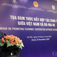 thuong-mai-viet-nam-rumani-nhung-linh-vuc-nao-se-sang-cua-trong-thoi-gian-toi-20231121163022.jpg?rt=20231121163401