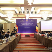 thuong-mai-viet-nam-rumani-nhung-linh-vuc-nao-se-sang-cua-trong-thoi-gian-toi-20231121163028.jpg?rt=20231121163105
