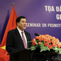 thuong-mai-viet-nam-rumani-nhung-linh-vuc-nao-se-sang-cua-trong-thoi-gian-toi-20231121163030.jpg?rt=20231121163228