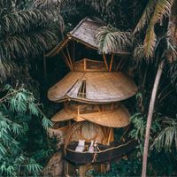 Nhà và khách sạn độc lạ khiến bạn "ối giời ôi" trên Airbnb