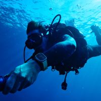 Một thợ lặn với bình dưỡng khí đeo Apple Watch Ultra đang mở Oceanic+ bơi dưới bề mặt đại dương.