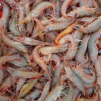 hải-sản-cô-tô-ivivu