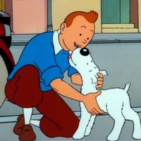 Cuộc phiêu lưu của Tintin - The Adventures of Tintin (1991)
