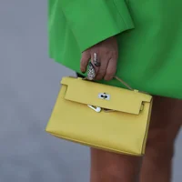 Hermès Birkin 