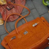 Hermès Birkin 
