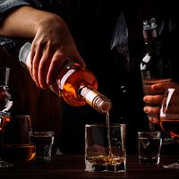 Rượu Rum Có Hương Vị: Hướng Dẫn Về Nhãn Hiệu Và Hương Vị Tốt Nhất