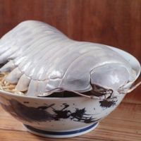 "Độc lạ Đài Loan" với món mì ramen chân cá sấu