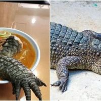 "Độc lạ Đài Loan" với món mì ramen chân cá sấu
