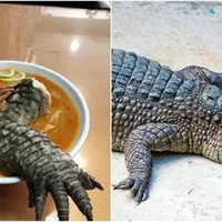 "Độc lạ Đài Loan" với món mì ramen chân cá sấu