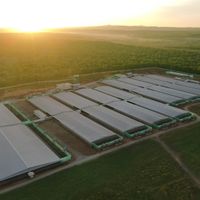 GREENFEED Việt Nam