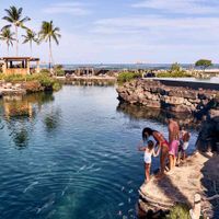 13 Khu nghỉ dưỡng Gia đình tốt nhất ở Hawaii (Phần 1)