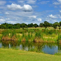 Sân golf hoang dã nhất thế giới Skukuza Golf Club
